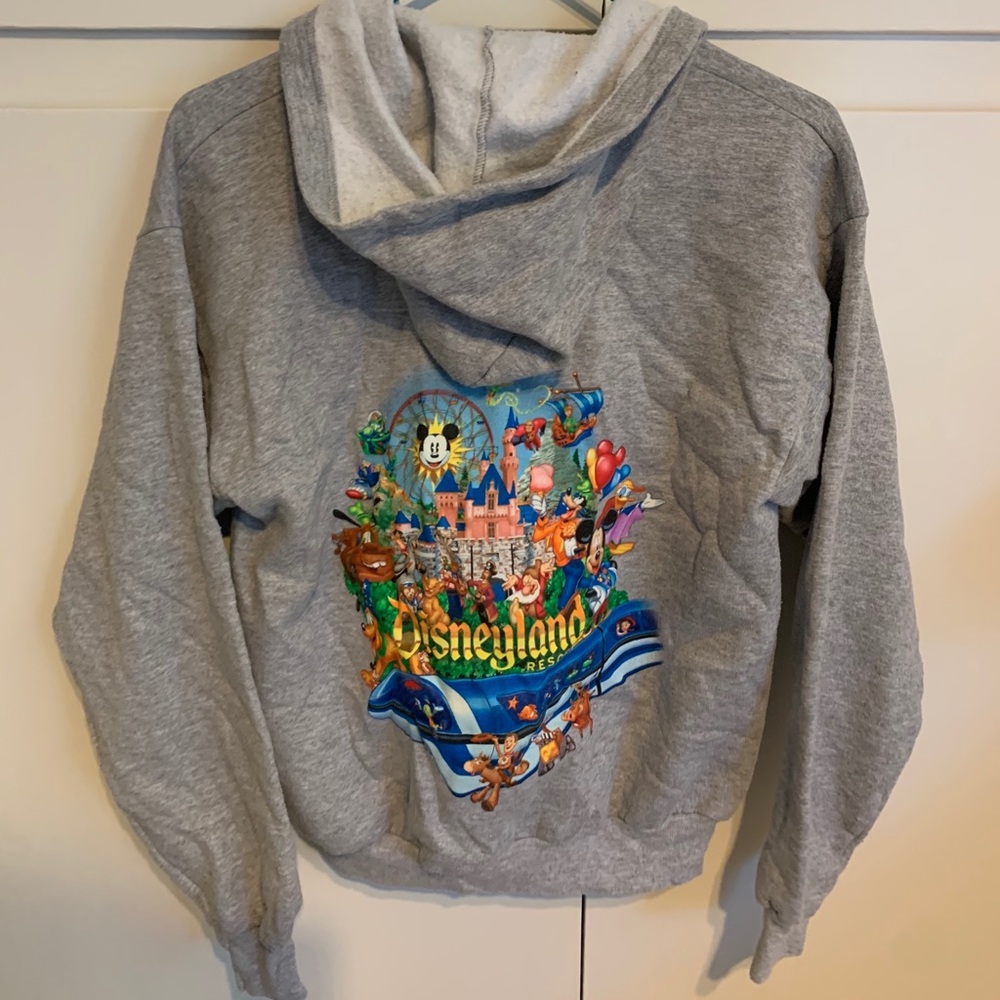 Hanes Disneyland Hoodie